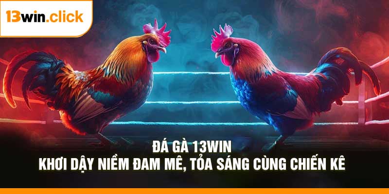 Đá Gà 13Win